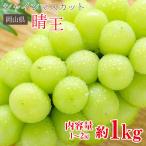  бесплатная доставка автомобиль in мускат .. Okayama префектура автомобиль n мускат примерно 1kg 1~2. Okayama . для бытового использования мускат виноград подарок подарок на Bon Festival жара средний видеть Mai .