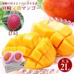  Miyazaki .. манго Miyazaki манго .. манго манго большой шар 2L 2 шар ввод местного производства местного производства манго День матери День отца подарок . для бытового использования 