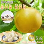 敬老の日ギフト 送料無料 鳥取県産 新甘泉 しんかんせん 秋甘泉 梨 中玉 3玉 (1玉 290g〜360g) 秀品 鳥取 鳥取県 梨 赤梨 20世紀梨 筑水 なし ナシ ギフト