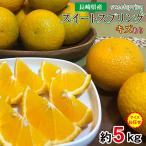  бесплатная доставка есть перевод немного есть перевод для бытового использования сладкий springs прямая поставка от производителя Nagasaki префектура мандарин. ..... примерно 5kg Nagasaki префектура производство Nagasaki мандарин местного производства местного производства мандарин . для бытового использования 