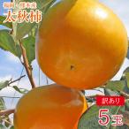Yahoo! Yahoo!ショッピング(ヤフー ショッピング)送料無料 熊本県産 熊本県 福岡 福岡県 太秋柿 大きさお任せ5玉 ご家庭用 熊本 お試し 柿 カキ ご自宅用 加工用 果物 ギフト プレゼント