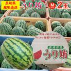 送料無料 長崎 長崎県産 すいか ス