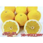 河内晩柑 訳あり 約10キロ(9kg+保証分500g)ジューシーオレンジ 熊本産 宇和ゴールド 和製グレープフルーツ みかん ミカン 蜜柑