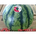 超大玉すいか 訳あり 8キロオーバー 大玉限定! スイカ すいか 西瓜 熊本産 1玉入り