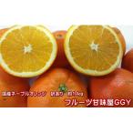 ネーブルオレンジ　訳あり　約10キロ（9ｋｇ+保証分500ｇ）国産 熊本産（網田産）みかん　ネーブルオレンンジ みかん ミカン 蜜柑