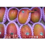 熊本マンゴー 訳あり 約5kg【規格外】加工用 熊本産 メガ盛り クール便発送