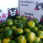 みかん 訳あり 大容量 箱込15キロ 熊本産 フルーツ グルメ みかん ミカン 蜜柑