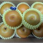梨 訳あり 約1.8kg(約2〜10玉)品種お任せ(豊水・秋月・秋麗・新高・愛宕など)熊本産 梨 ナシ なし 60サイズ