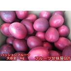 ショッピングセレブ パッションフルーツ　大容量　4ｋｇ　熊本産　清田さんのパッションフルーツ　80サイズ