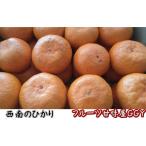 新品種の柑橘　西南のひかり　訳あり　１箱　箱込１０キロ（９kg＋保証分５００g） みかん ミカン 蜜柑