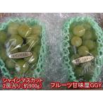 シャインマスカット 2-3房入り(約900g)熊本産・福岡・大分産 クール便発送 60サイズ ブドウ 葡萄 ぶどう