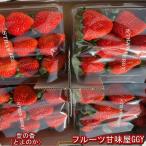  клубника ... ... .1 упаковка 300g и больше ×4 упаковка Kumamoto производство . прохладный рейс 80 размер 