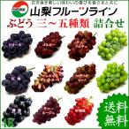 Yahoo! Yahoo!ショッピング(ヤフー ショッピング)山梨県産 ぶどう 詰め合わせ おまかせ3種類セット 4kg 送料無料一部地域は除く