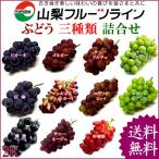 Yahoo! Yahoo!ショッピング(ヤフー ショッピング)山梨県産 ぶどう 詰め合わせ おまかせ3種類セット 2kg 送料無料一部地域は除く