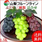 Yahoo! Yahoo!ショッピング(ヤフー ショッピング)山梨県産 ぶどう 詰め合わせ 三種類セット 1.5kg  産地直送 送料無料一部地域を除く