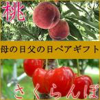 母の日 父の日 フルーツ グルメ ペアセット