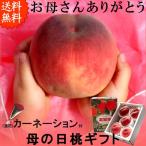 桃 母の日 フルーツ ギフト 山梨県産 特産品 温室桃 秀 約1kg 送料無料 一部地域を除く