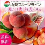 ショッピングお中元 送料無料 父の日 ギフト お中元 桃 山梨 果物 フルーツ 白鳳 白桃 甲斐黄金桃 特秀 3kg のし対応可 送料無料 一部地域を除く