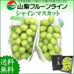 ショッピング日本一 シャインマスカット 贈答用 山梨県産 約1.2kg 秀 2〜3房入 敬老の日 ギフト 残暑御見舞い のし対応可 産地直送 送料無料一部地域を除く