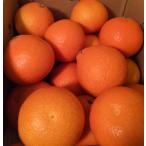 お歳暮　あいか 愛媛産 ２Ｌまたは３Ｌサイズ 約５ｋｇ