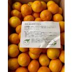 お歳暮　みかん 糸孫農園 特選和歌山産 有田 Ｓサイズ 約５ｋｇ