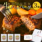  рефрижератор гамбургер подарок 3 шт Iwate префектура производство дракон Izumi . чёрный свинья популярный ваш заказ гурман гамбургер ежедневное блюдо подарок подарок 