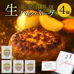  рефрижератор гамбургер подарок 4 шт Iwate префектура производство дракон Izumi . чёрный свинья популярный ваш заказ гурман гамбургер ежедневное блюдо подарок подарок 