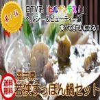 Yahoo! Yahoo!ショッピング(ヤフー ショッピング)【送料無料】若狭　（すっぽん鍋セット　4人前）　ヘルシー　ビューティ　コラーゲン　産直