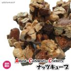 バニラ香る ナッツ菓子 ナッツキューブ 500g（ナッツキューブ500g）ナッツ 送料無料 お菓子 ギフト ACC ＡＣＣ ナッツ バレンタインデー ホワイトデー 業務用