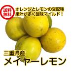 送料無料防腐剤・ワックス不使用レモ...