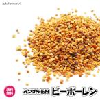 ビーポーレン 10kg/1kgパックが10袋入り スペイン産 食用花粉 スーパーフード 送料無料 (ビーポーレン1kg×10P)ハチミツ はちみつ 純正 蜂蜜 天然 業務用