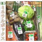 ミネラルボックス 有機JAS野菜詰め合わせAコース(青森県　はまなす生産組合)無農薬オーガニック野菜セット・送料無料・クール便無料