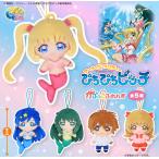 【コンプリート】 ぴちぴちピッチ かぷっこふれんず 全5種セット【在庫品】