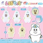 んぽちゃむ かぷっこふれんず 全5種セット 【2025年8月予約/コンプリート】