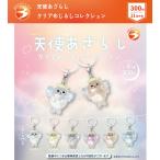 �V�g�����炵 �N���A�߂��邵�R���N�V���� �S6��Z�b�g �y2026�N11���\��/�R���v���[�g�z