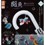 奇奇奇 闘魚 ベタ 繋がる目印 全6種セット 【2026年11月予約/コンプリート】