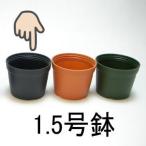 1.5号プラ鉢-黒 超ミニサイズ 1個売り[1-7B]