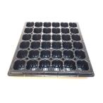 Yahoo! Yahoo!ショッピング(ヤフー ショッピング)1号プラ鉢ぴったり整理トレイ-厚（ハード）：6×6=36鉢用[セルトレイ/セルトレー2分割品]※空トレイ1枚売