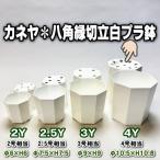 八角縁切立白プラ鉢-4号-大(4Y)カネヤ＊兼弥産業＊八角鉢[254GW]