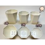 Ȭͳѥץȭ-2.5-(Ȭѷͳȭ)󥯾夬ͭäꤷޤȬȭ[2GW][254GW]