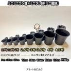 厚手のプラ鉢-スマート3.5号[黒]/ミニ蘭鉢[254GB]