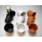 Yahoo! Yahoo!ショッピング(ヤフー ショッピング)厚手のプラ鉢-ふっくら2.5号-黒＊U-25（QBRAND）＠多肉植物・塊根植物コーデックス・アガベ・サボテン・盆栽・観葉・実生[2GB][254GB]