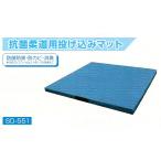  дзюдо для [ антибактериальный бросание включая коврик ]( Ester синий брезент ) мягкий тип SD-551(200×200×10cm)