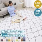 ラグ カーペット ラグマット 洗える 3畳 200×250 オールシーズン おしゃれ 春 夏 北欧 絨毯 抗菌 防ダニ フリーリー