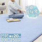 ショッピングラグ ラグ 夏 低反発 ひんやり 冷感 接触冷感 200×250 低反発 20ｍｍ 極厚 ふかふか ウレタン カーペット ラグマット 夏用 ひんやりマット おしゃれ フリーリー