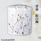 ���� �T�C�Y 5�� �g���~�i�l�W�W�j�P�i ���V ���{�p�i ���{ 5������ ������ꍜ�� ���{�� �[�� ���V �茳���{ ����� ����� �A�� ������ꍜ�� �������ւ�