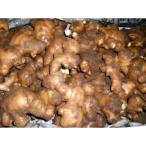  вид сырой . еда для имбирь земля . один большой сырой . имбирь вид сырой .1 kilo 