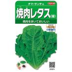 サカタのタネ 実咲野菜3674 焼肉レタス(緑) チマ・サンチュ 00923674