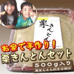 お家で手作り！栗きんとんセット（５００ｇ）