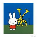 ナカバヤシ　フエルアルバム　コドモ　ディックブルーナ　S　コン　ア-SA-121-2